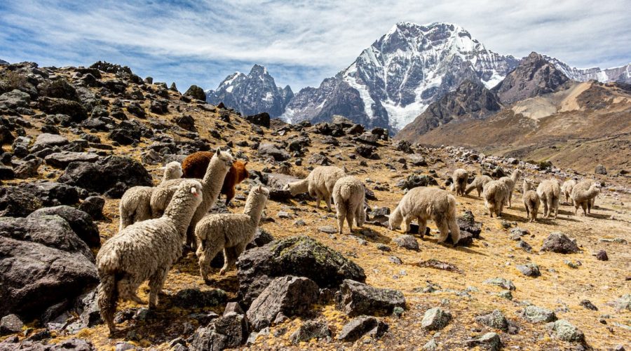 Ausangate Special Short Trek