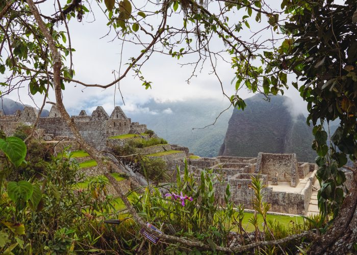Machu Picchu & Amazon Basin